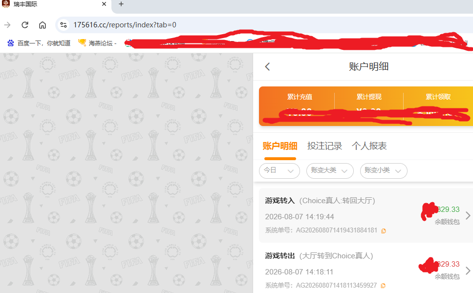 瑞丰国际资金图.png